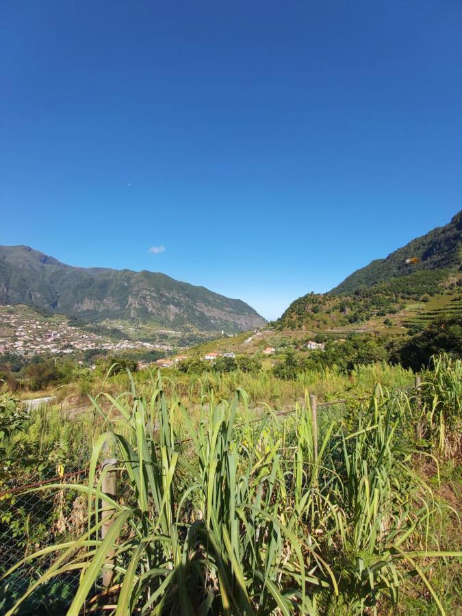 Lameiros Cottage São Vicente Kültér fotó