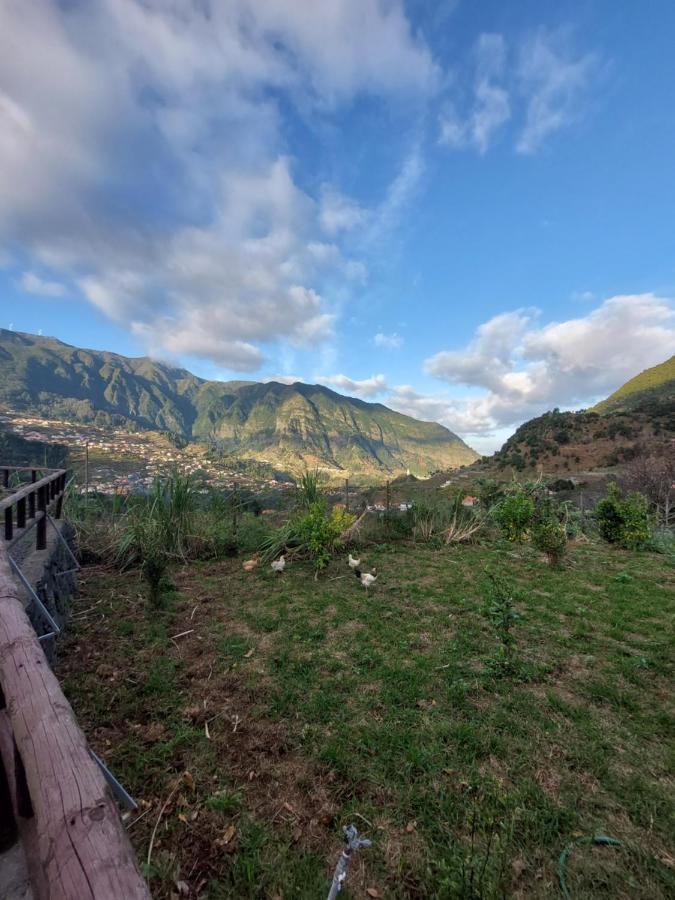 Lameiros Cottage São Vicente Kültér fotó